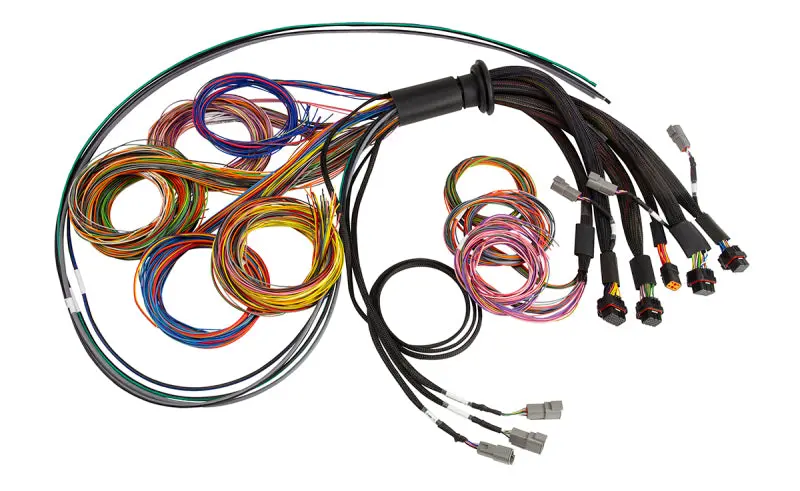 Haltech Nexus R5 Basic Universal Wire-In Harness 1
