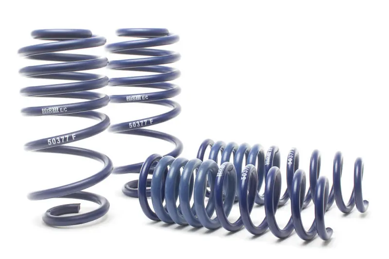 H&R 00-03 Audi S4 (Awd) Sport Spring 2