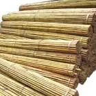6Ft Bamboo 25 Pack 1