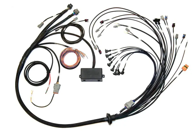 Haltech V8 Big/Small Block Gm/Ford/Chrysler Elite 2000/2500 Terminated Harness W/Ev1 Inj Connectors 1
