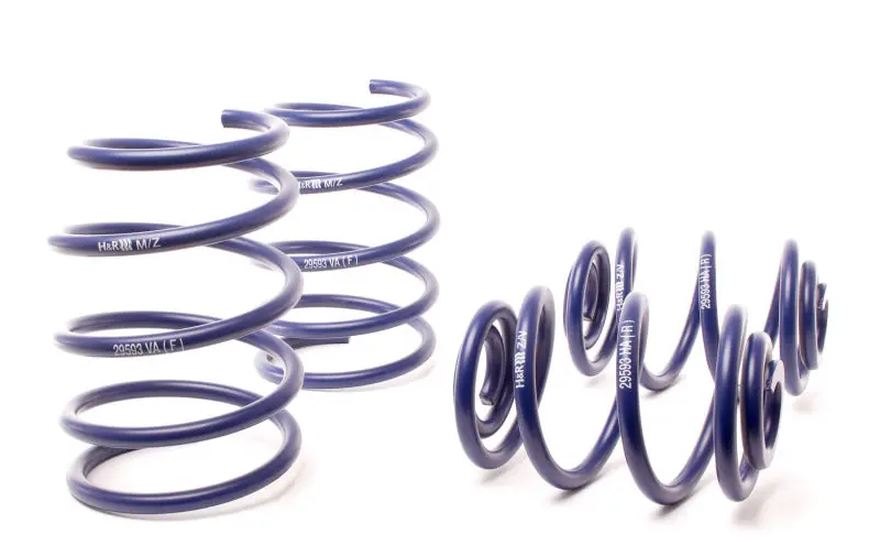 H&R 95-98 Bmw 318Ti E36 Compact Race Spring 1