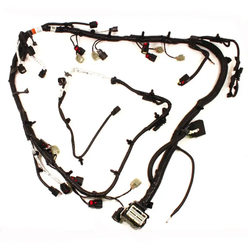 Ford Racing 5.0L Coyote Engine Harness 1