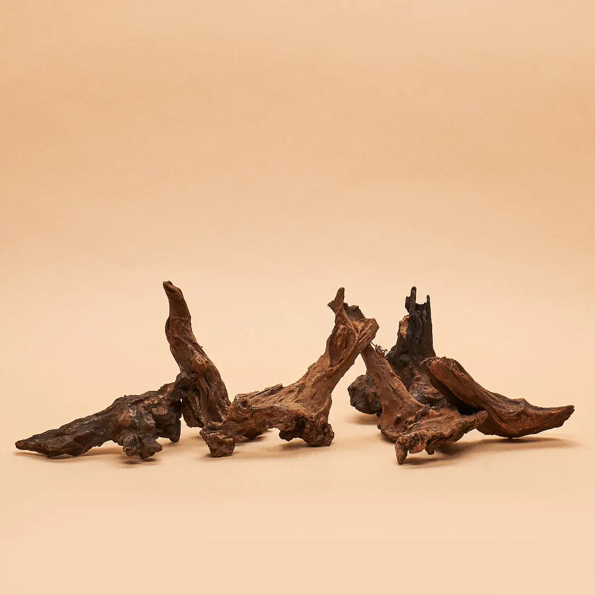 Asian Driftwood- Hand-Selected Pieces 1