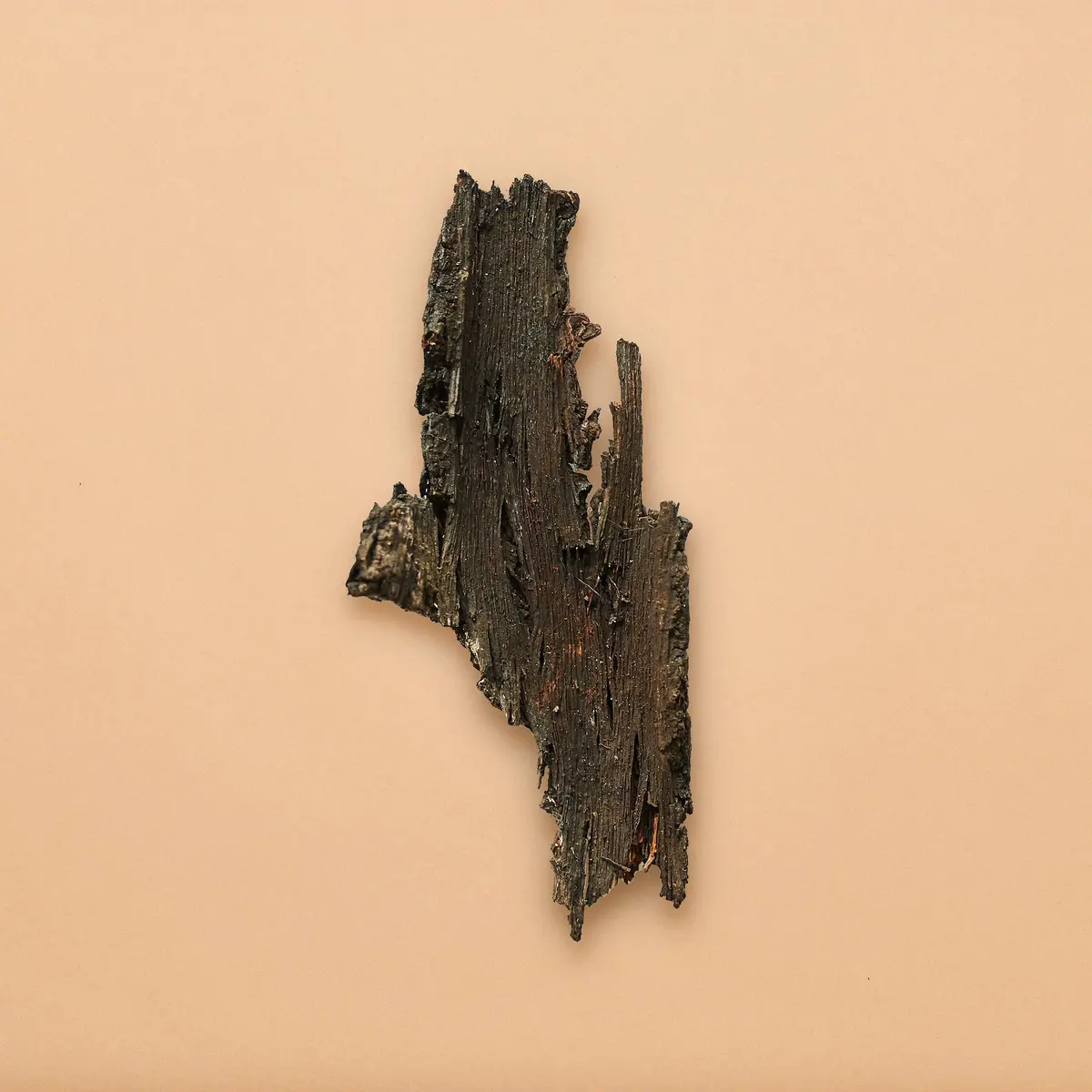 Red Mangrove Bark Pieces (Package Of 4 Pieces) 1