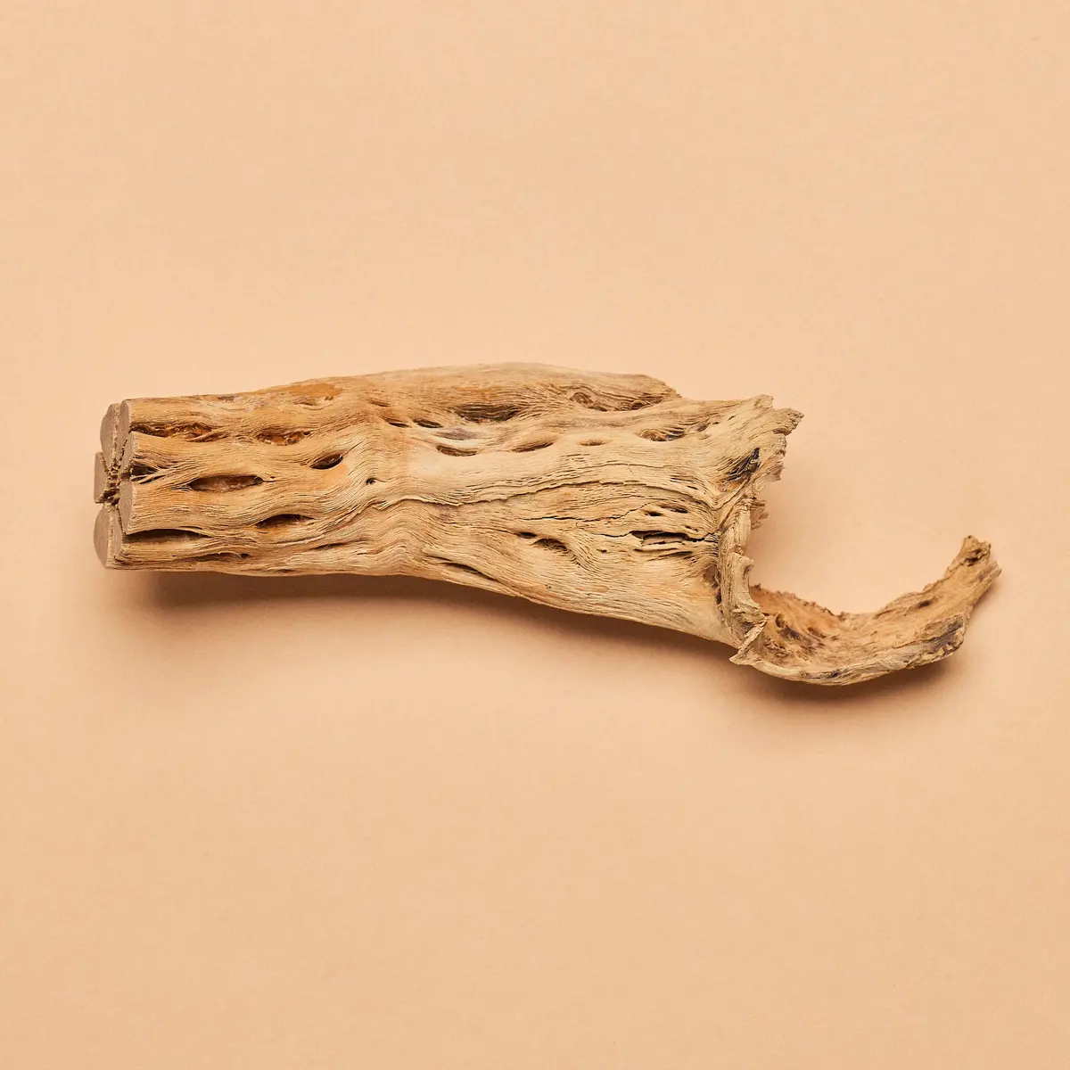 Cholla Chunks (Approx 6 Oz./170 Gram Package) 1