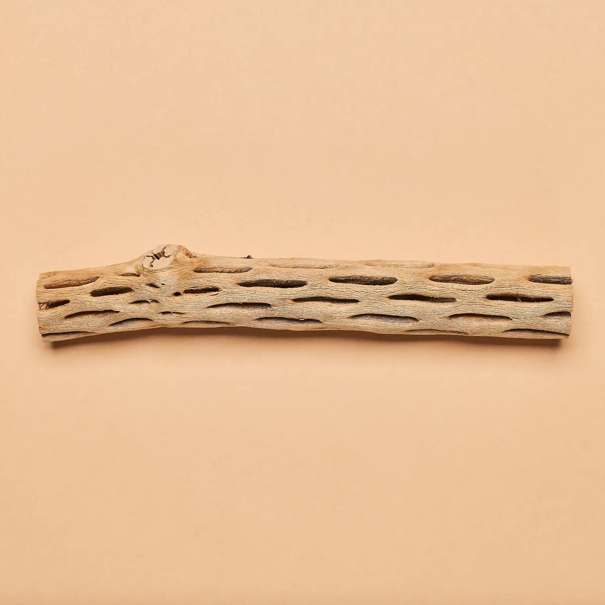 Cholla Wood "Logs"- Medium Size (Individual Hand-Selected Pieces) 1