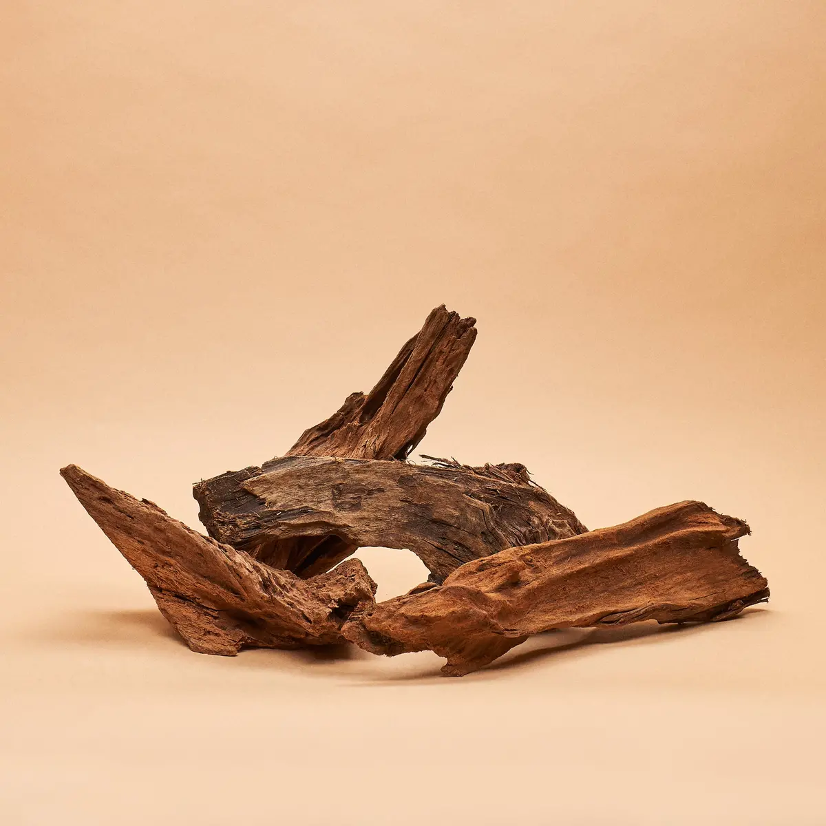 Malaysian Driftwood- Hand-Selected Specimens 1