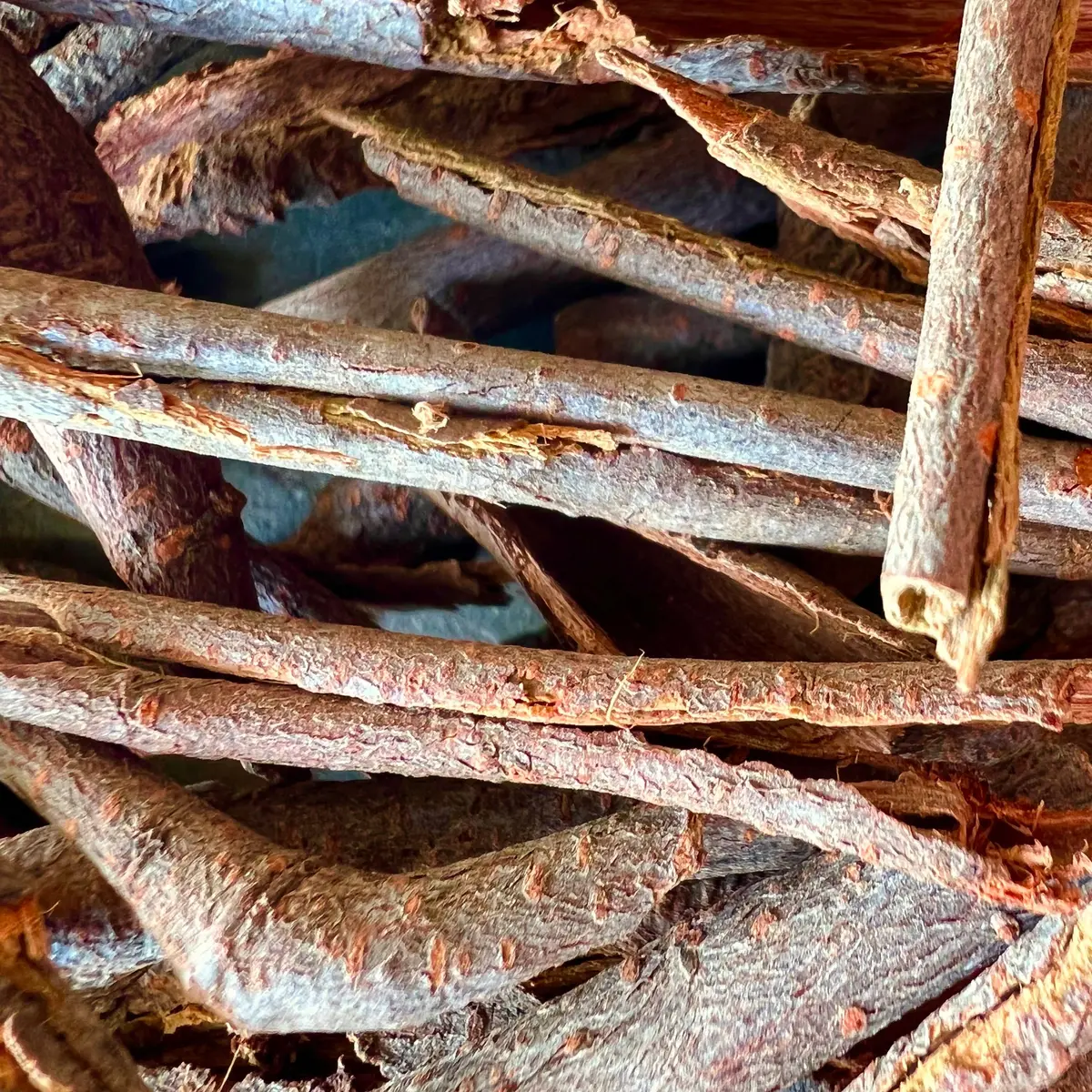 Ichnocarpus Bark (25 Pcs) 1