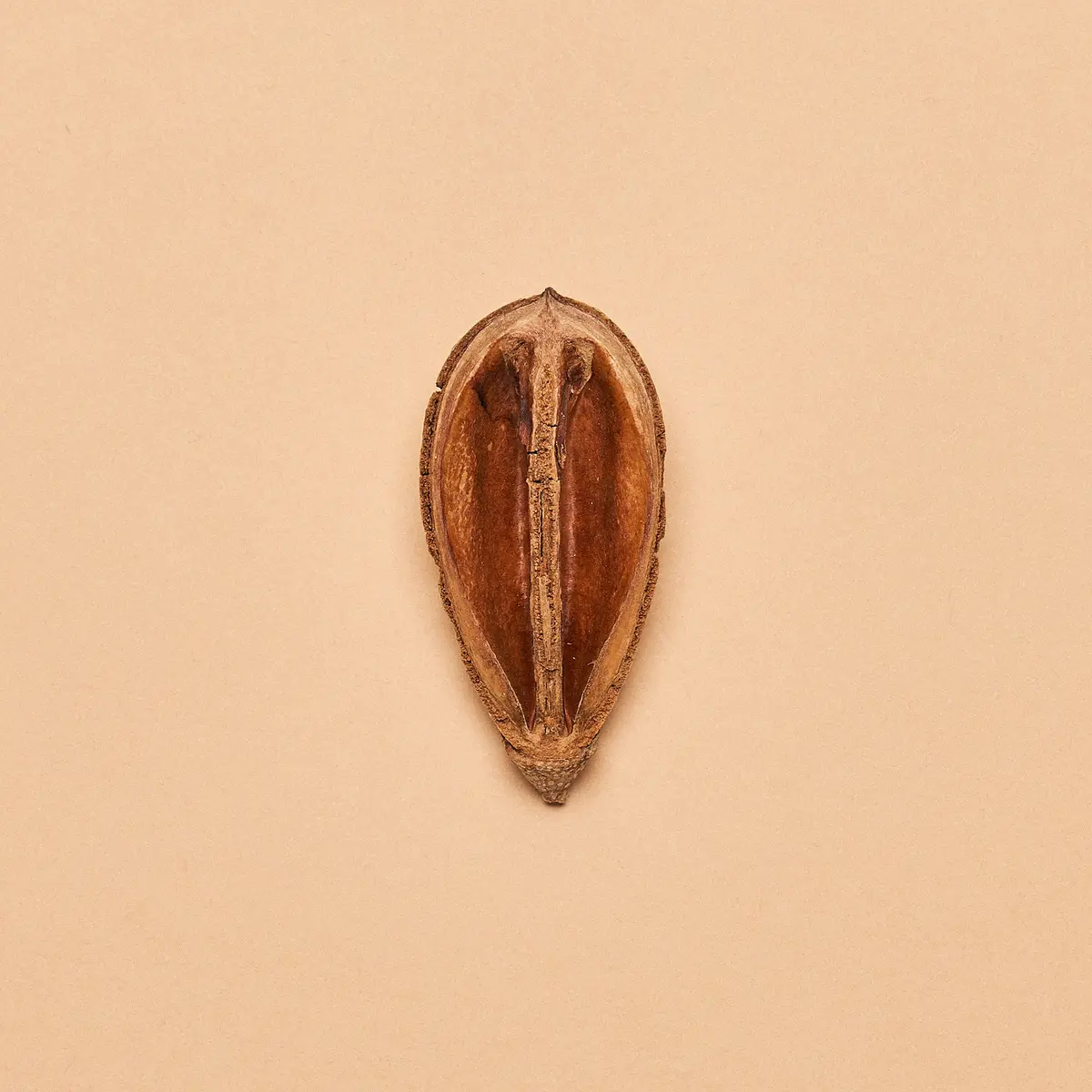 Mokha  Pod Section 1