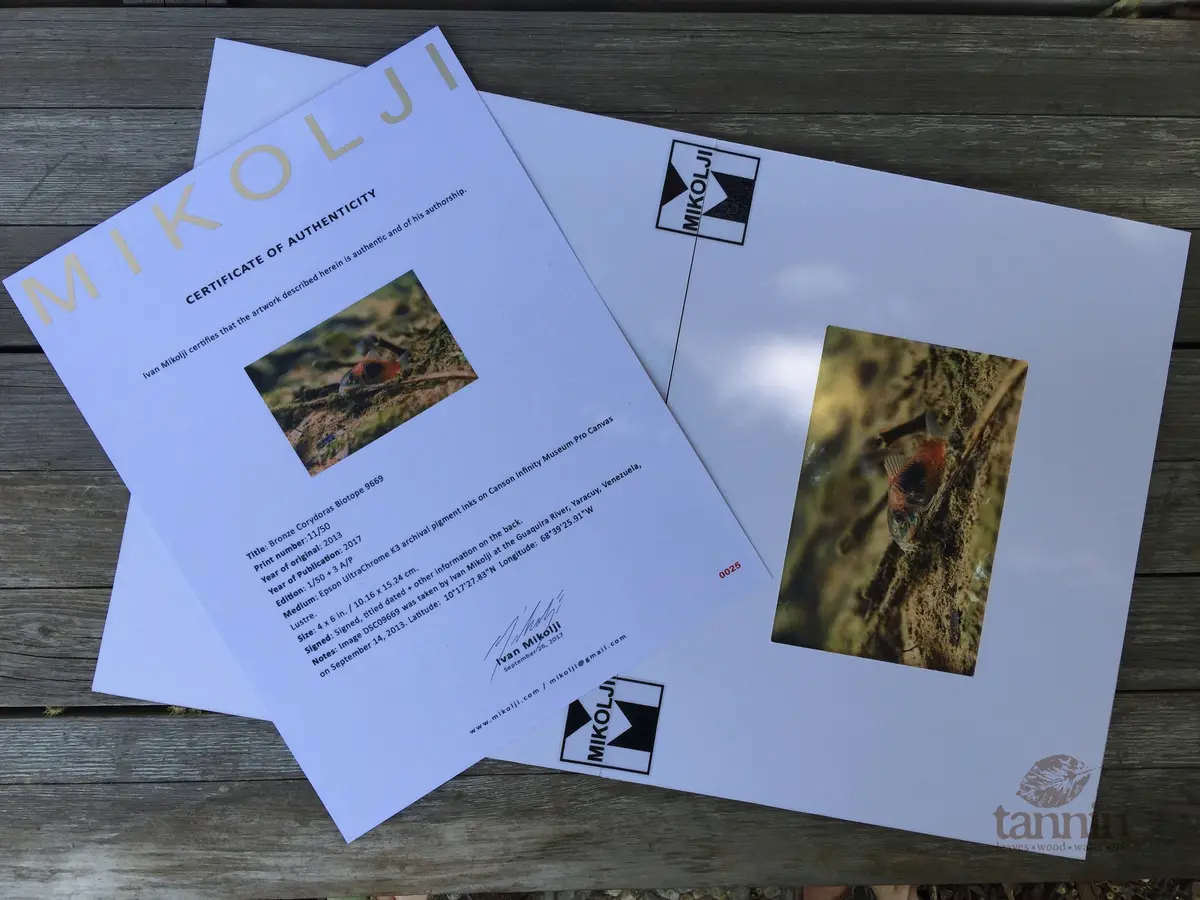 Tannin Special Release "Mikolji Bronze Corydoras Biotope 9669" (Ivan Mikolji-Curated Botanical Sampler Pack, And Exclusive Signed Limited Edition Print) 1