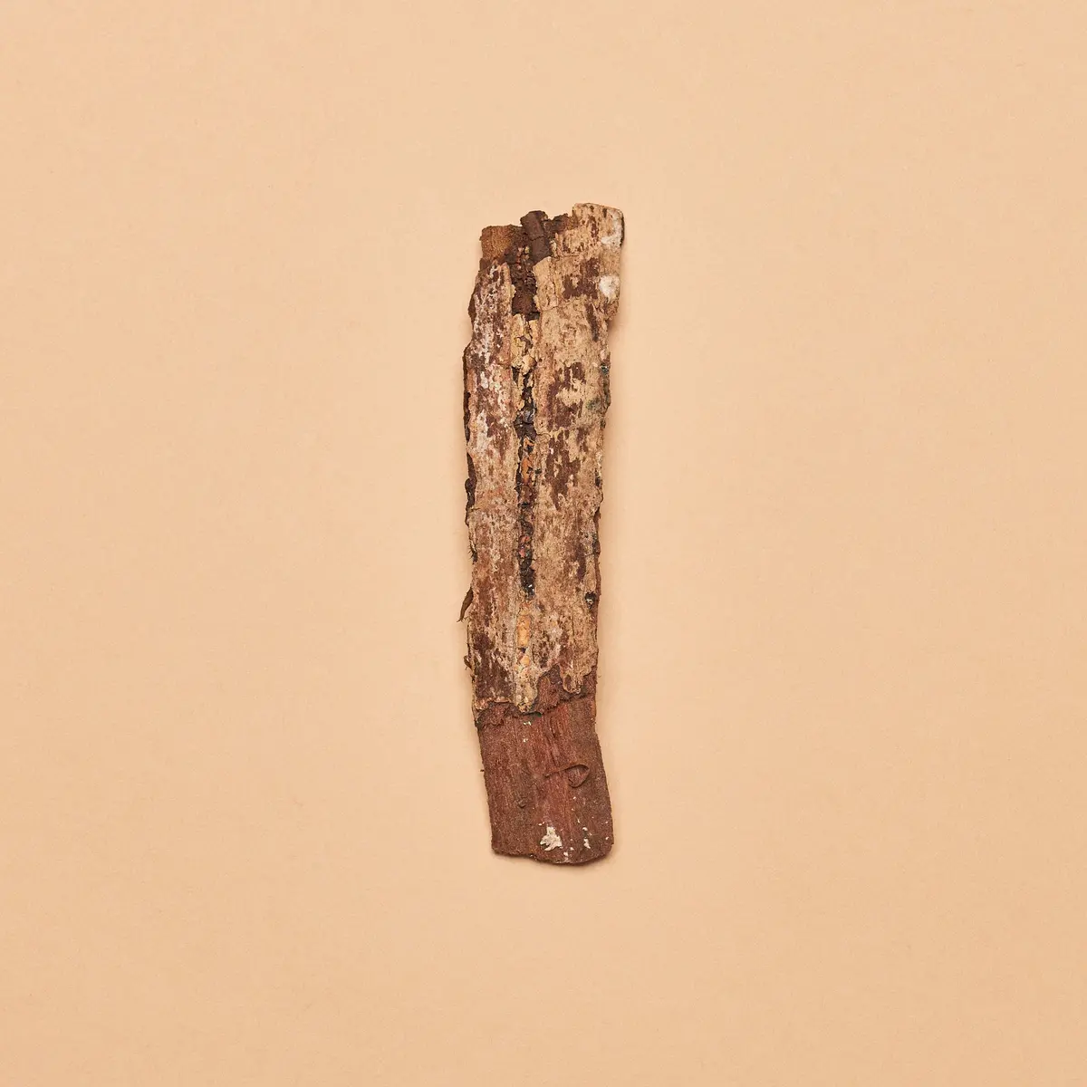 Selatan Catappa Bark Pieces (Package Of 4 Pieces) 1
