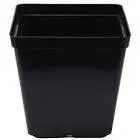 Square Pot 13Cm - 1.5L 1