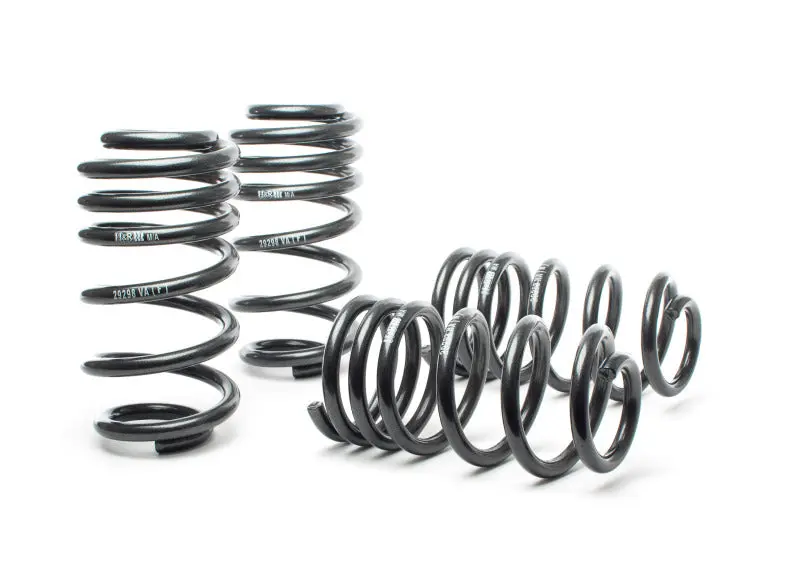 H&R 03-04 Audi Rs6/Rs6 Avant (Awd) Sport Spring 1