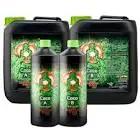 Coco A And B 5Ltr Buddhas Tree 1