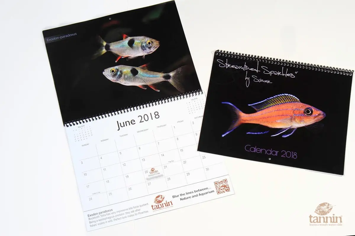 "Streamlined Sparkles" 2018 Calendar By Sumer Tiwari 1