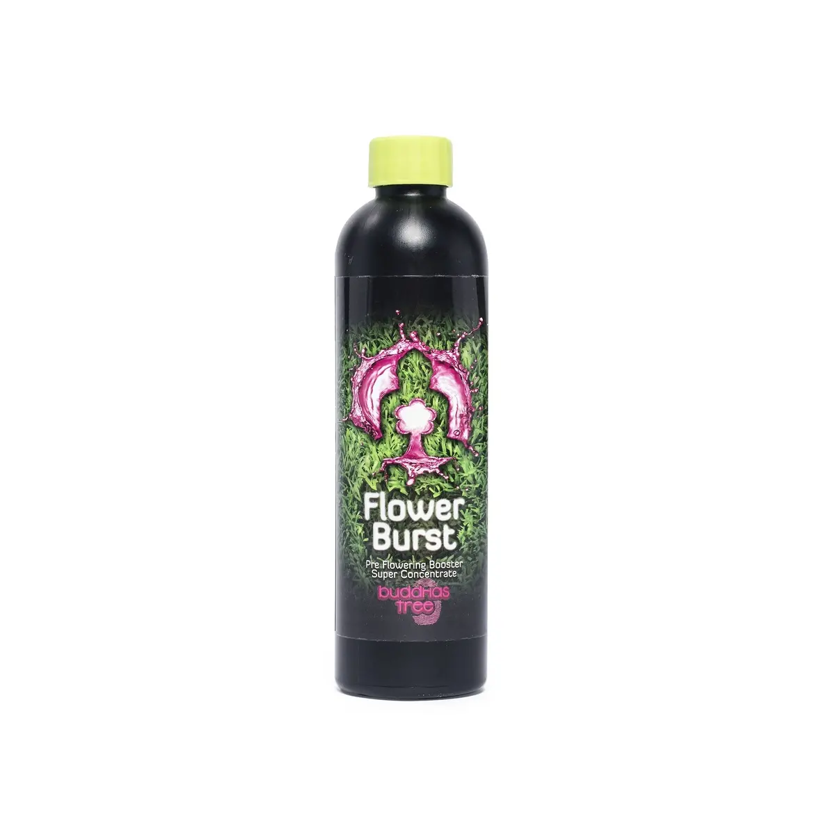 Buddhas Tree Flower Burst 250Ml 1
