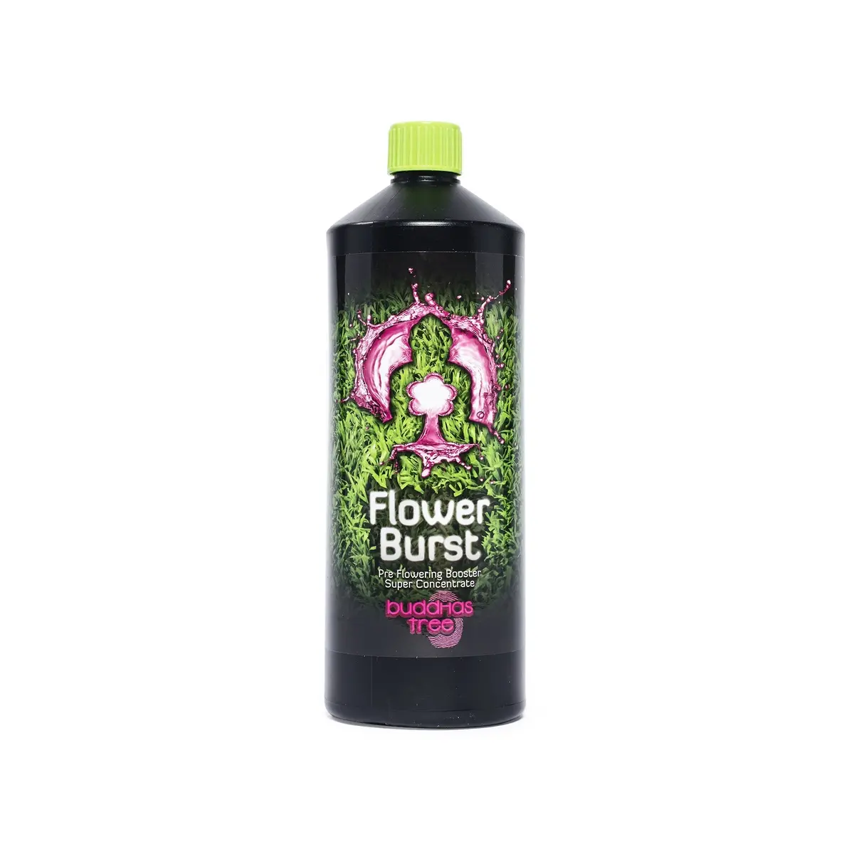 Buddhas Tree Flower Burst 500Ml 1