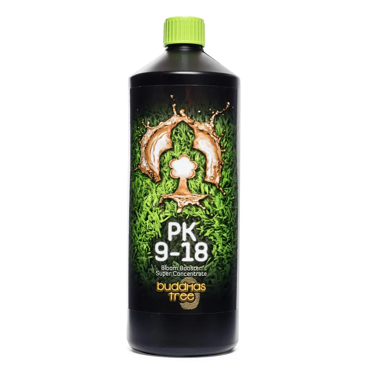 Buddhas Tree Pk 9-18 1 Litre 1