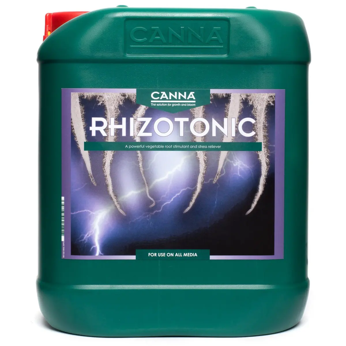 Canna Rhizotonic Large Sizes 1