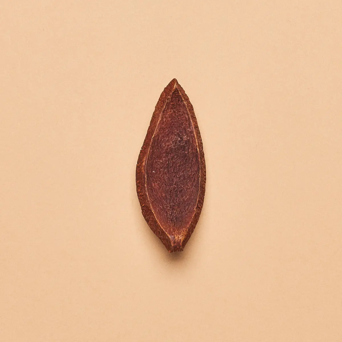 "Sky Fruit" Pod 1
