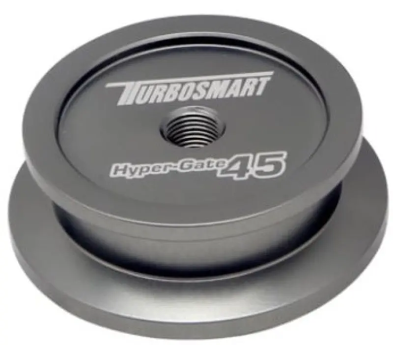 Turbosmart Wg45 Welding Purge Bung 1