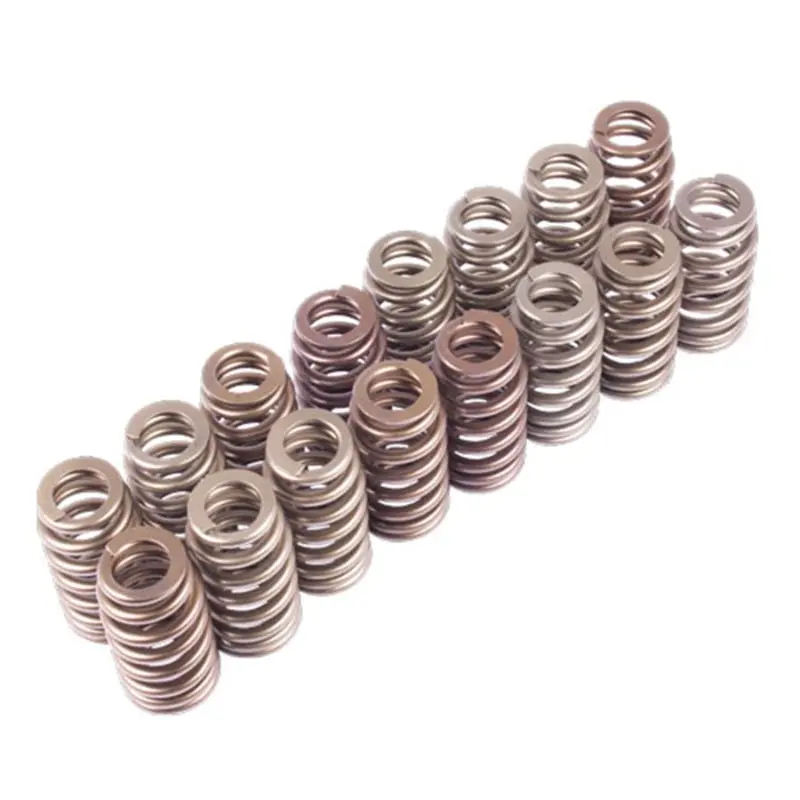 Ford Racing Boss 302R Valve Spring Kit 1