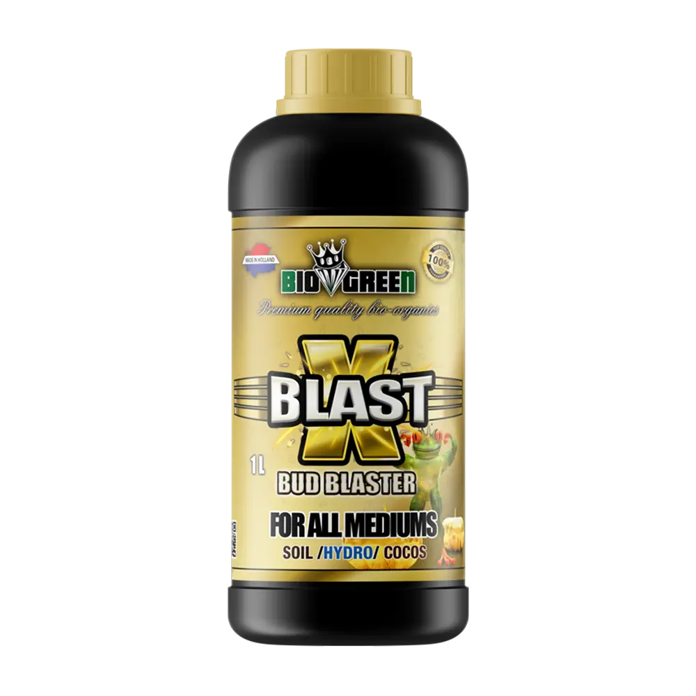 Bio Green Xblast 1L 1