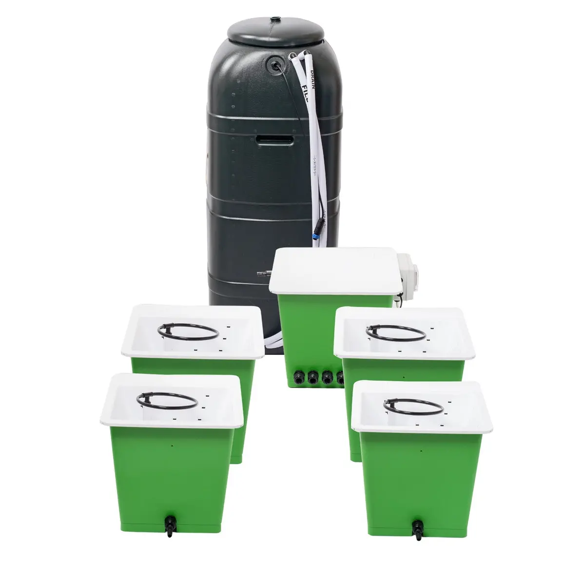 Green Man System 4 Pot System 1