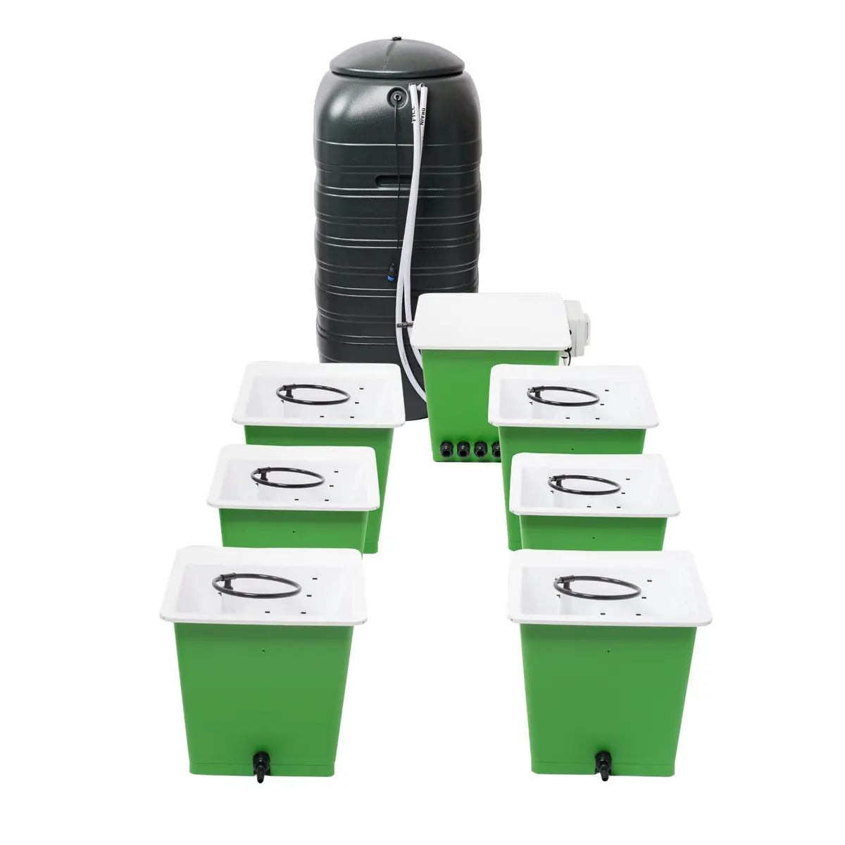Green Man System 6 Pot System 1