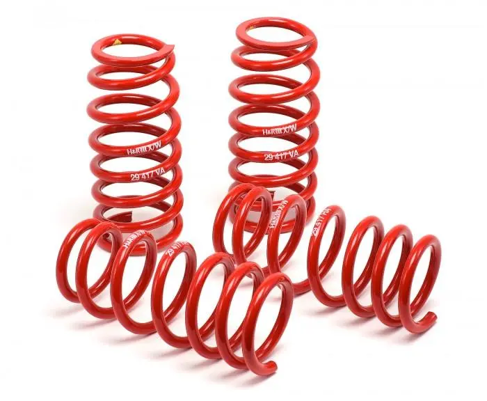 H&R 98-01 Audi A4 Avant Quattro (Awd) B5 Race Spring 1