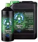 Organicus 5Ltr Buddhas Tree 1