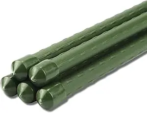 Plastic Canes 6Ft (25) £25 1