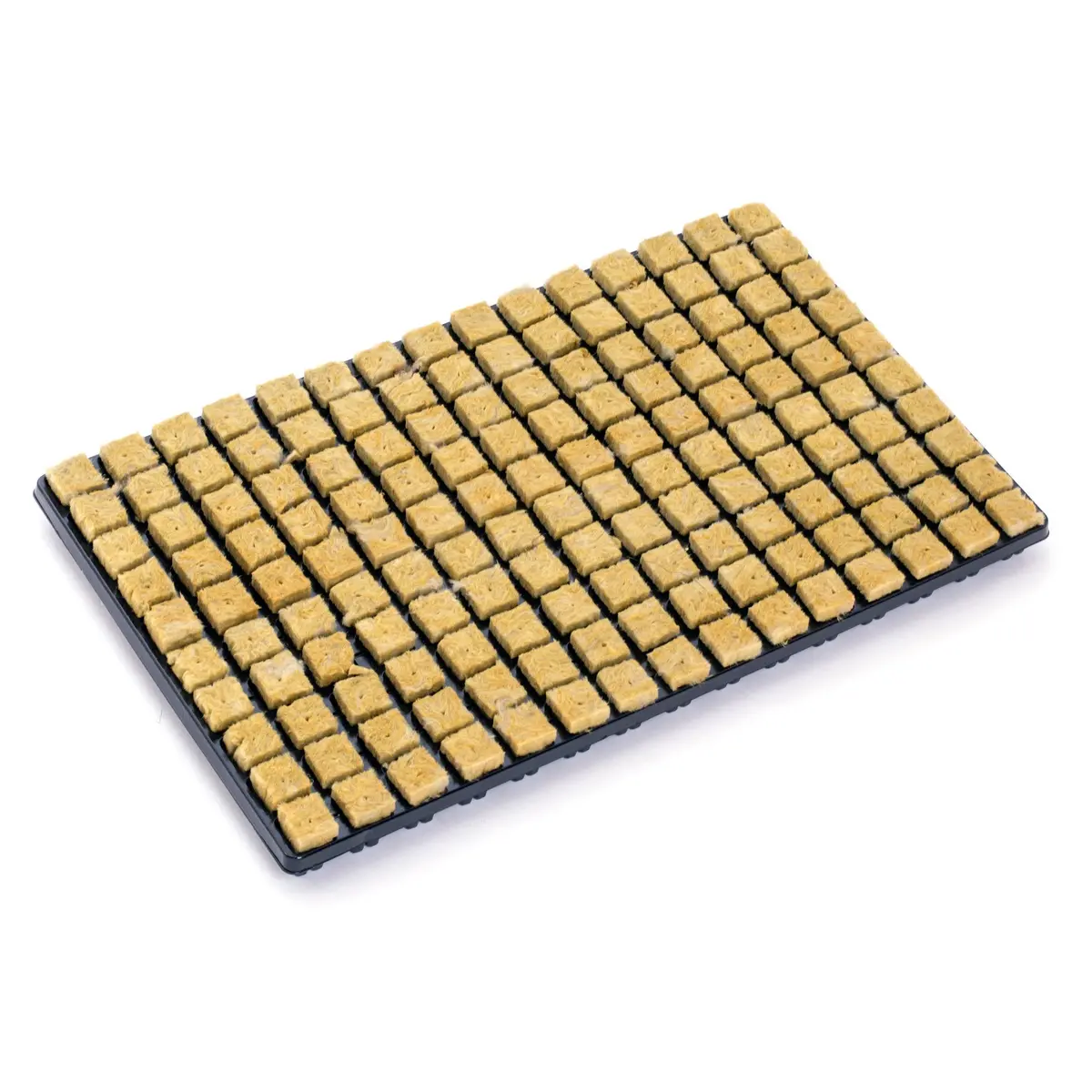 Rockwool Transplant Plugs 1
