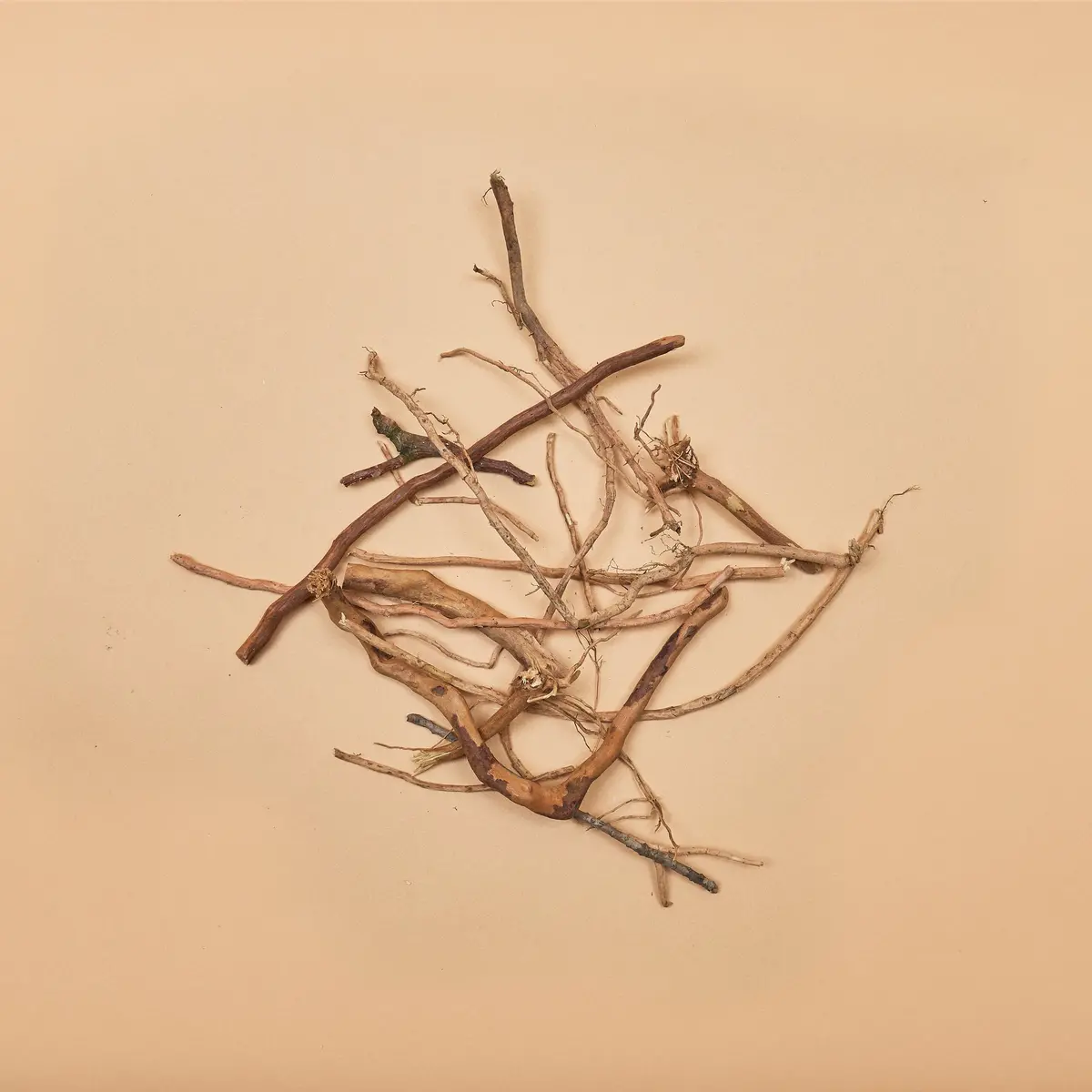 "Bits And Pieces"- Assorted Small Root And Twig Sections (20 Pcs.) 1